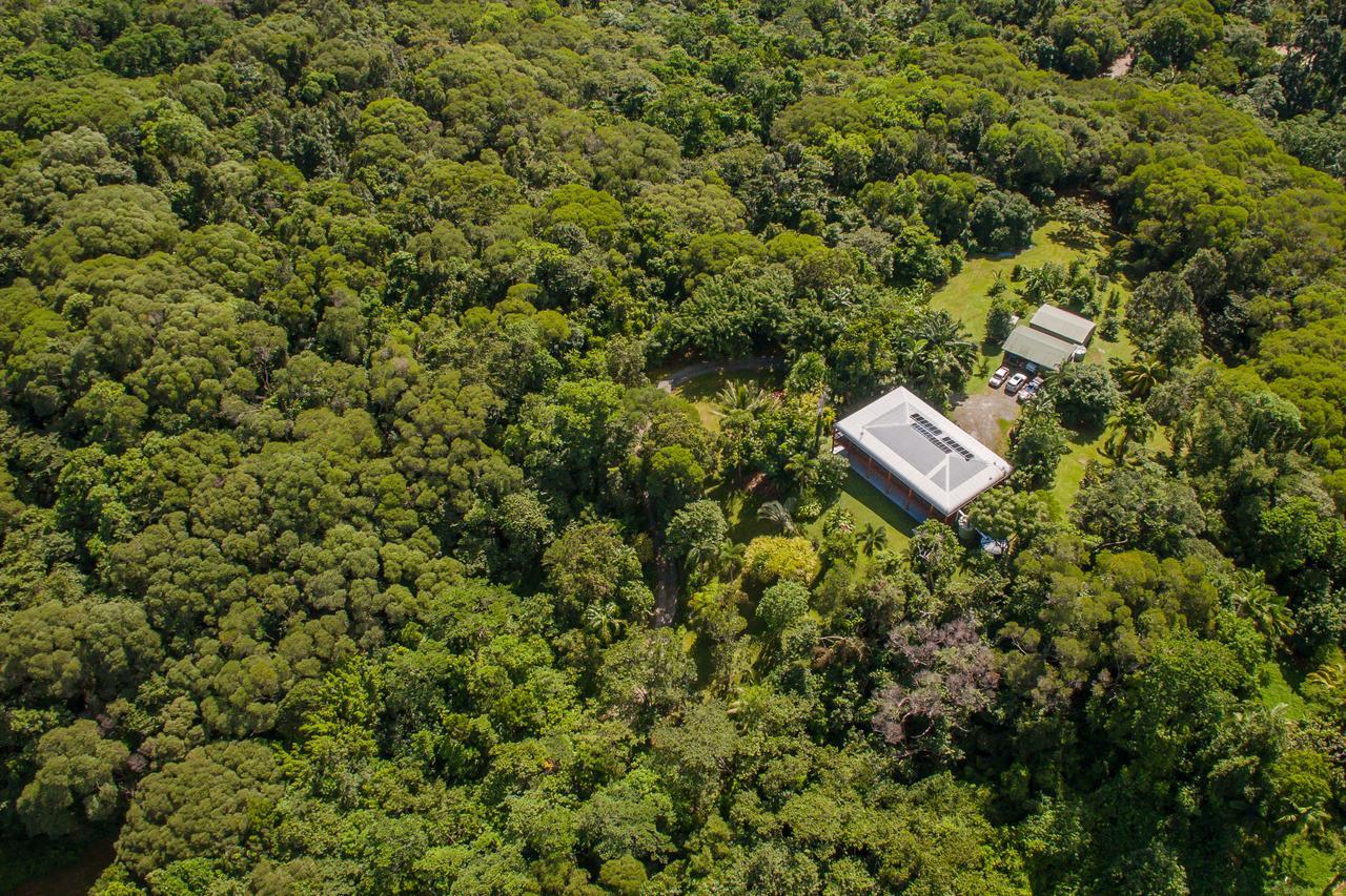 Daintree Manor B&B מראה חיצוני תמונה