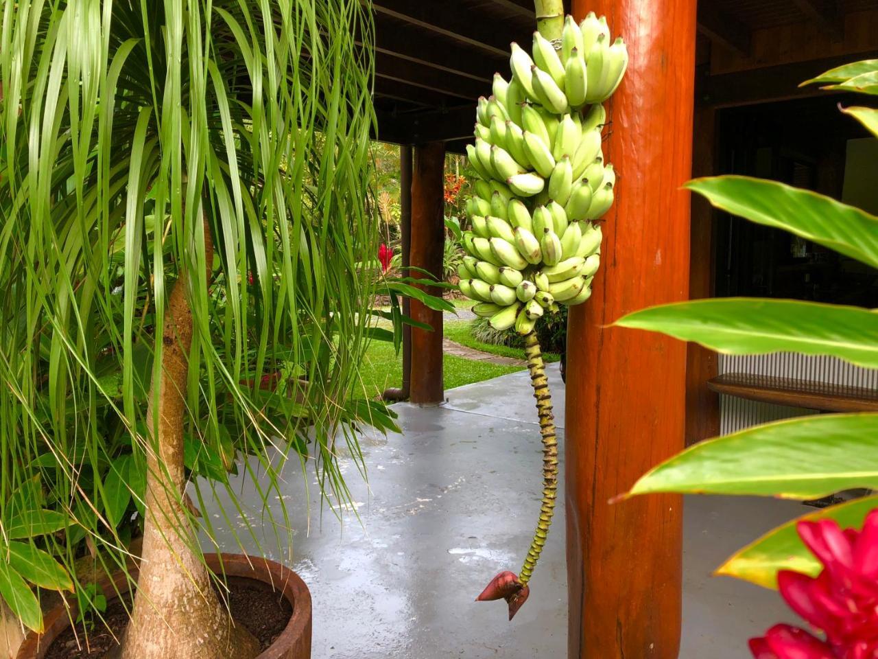 Daintree Manor B&B מראה חיצוני תמונה