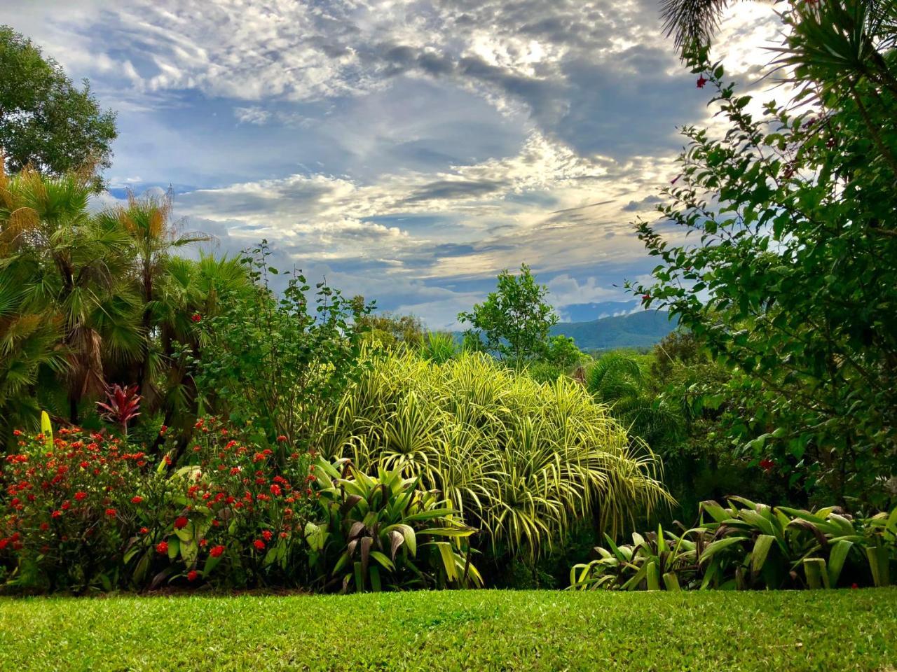 Daintree Manor B&B מראה חיצוני תמונה